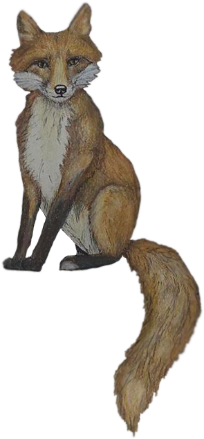 Fox character